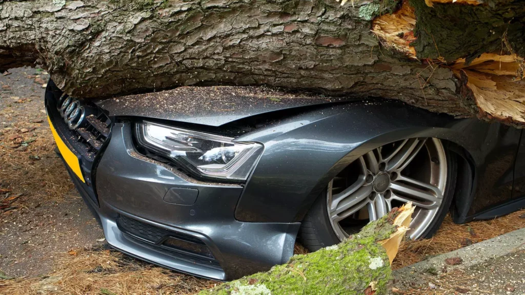 auto insurance quote